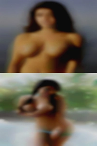 Whats a dildo pussy and tofo have in common.